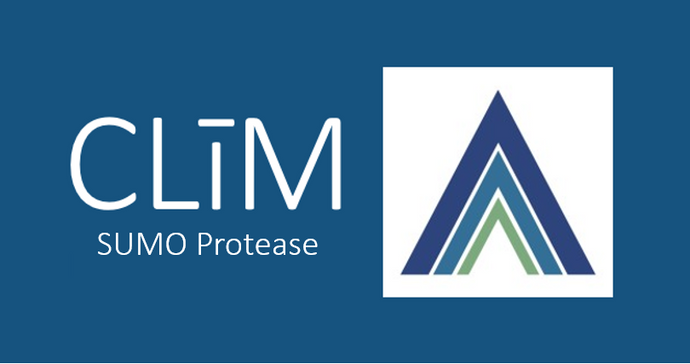 🧬 Our SUMO Protease – Where Efficiency Meets Excellence! 🧬
