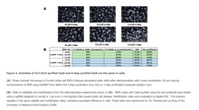 Load image into Gallery viewer, CRISPR-Cas9 Protein