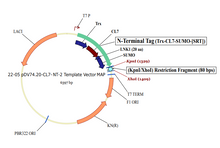Load image into Gallery viewer, Plasmid #22
