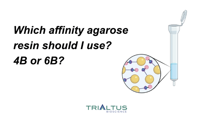 Which agarose affinity resin should I use: 4B or 6B?