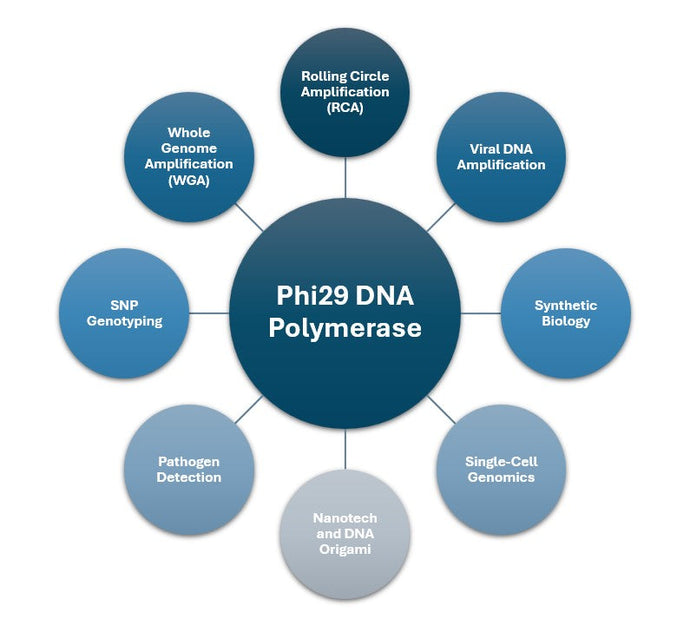 TriAltus Bioscience Launches Phi29 DNA Polymerase