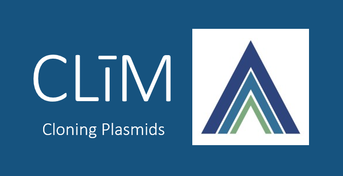 Seeking the Perfect Plasmid for Your CLīM System Journey?