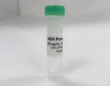 Load image into Gallery viewer, Purified Human Growth Hormone (hGH)
